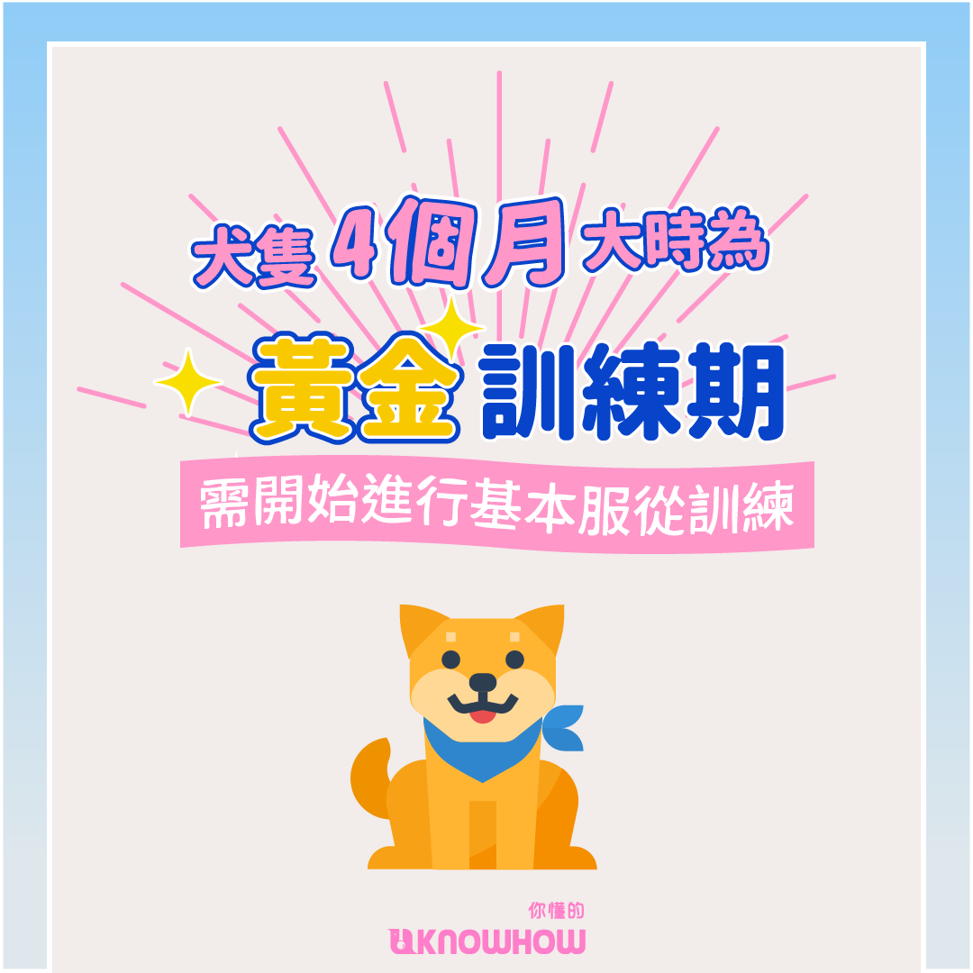 0715_DogClassConcept4_p3.png